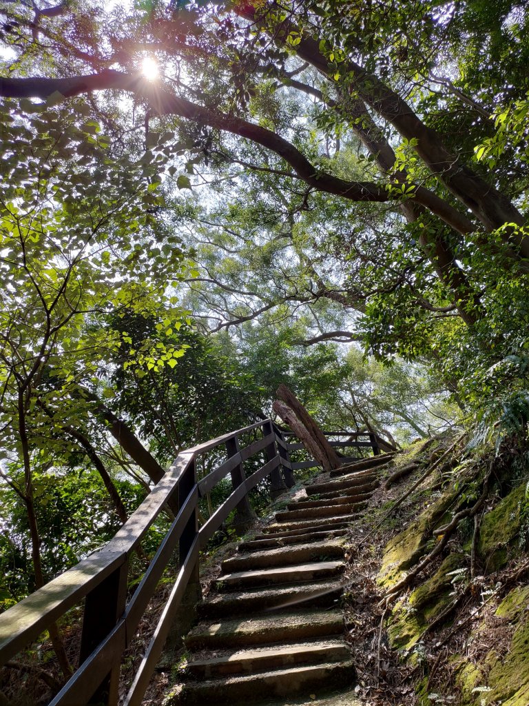 鶯歌石-牛灶坑山-孫龍步道O型_836952