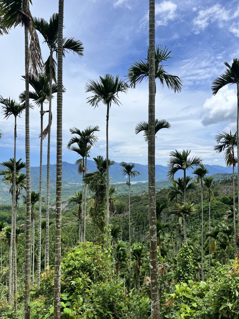 梅峰_竹子尖山封面圖