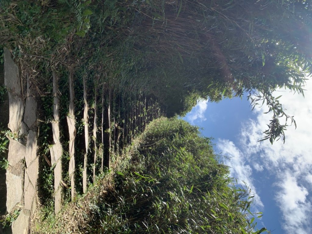 台北大縱走第二段_1635022