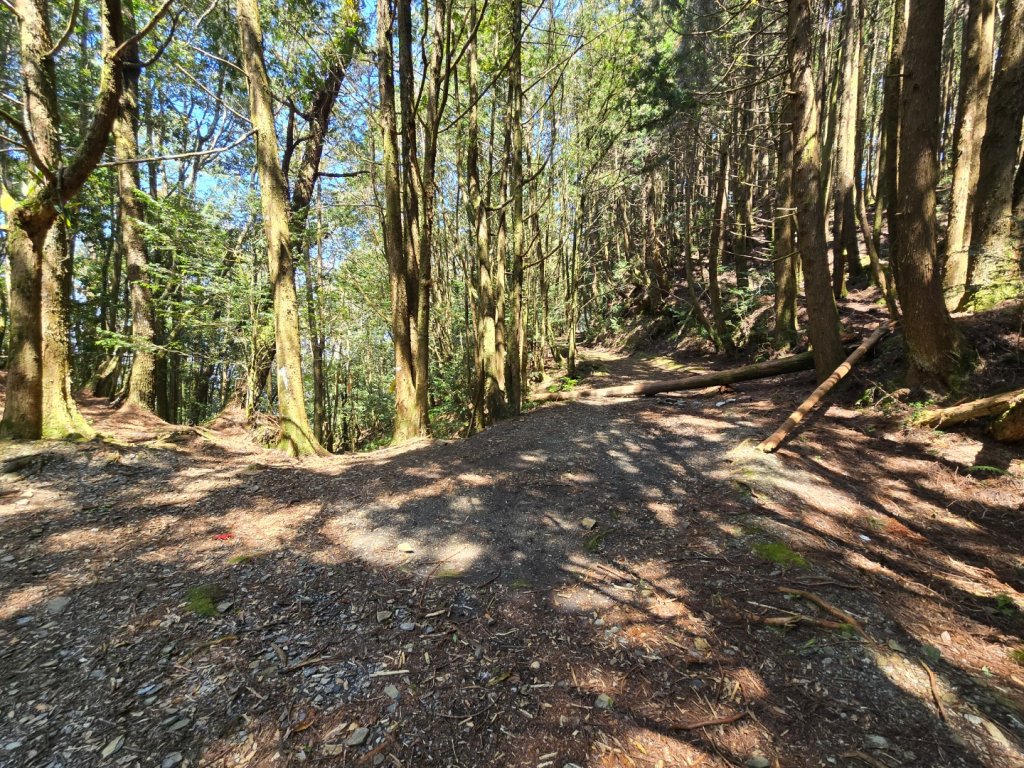 卓社大山〔武界栗栖溪登山口起登〕_2748411