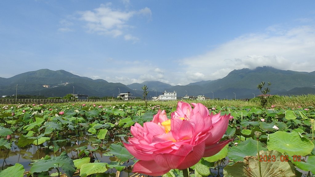 雲山水花鳥蝶 - 天龍國阿伯的日常6/2飛碟雲?上帝光 ?封面圖