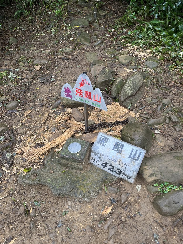 飛鳳山、中坑山、石壁潭山封面圖