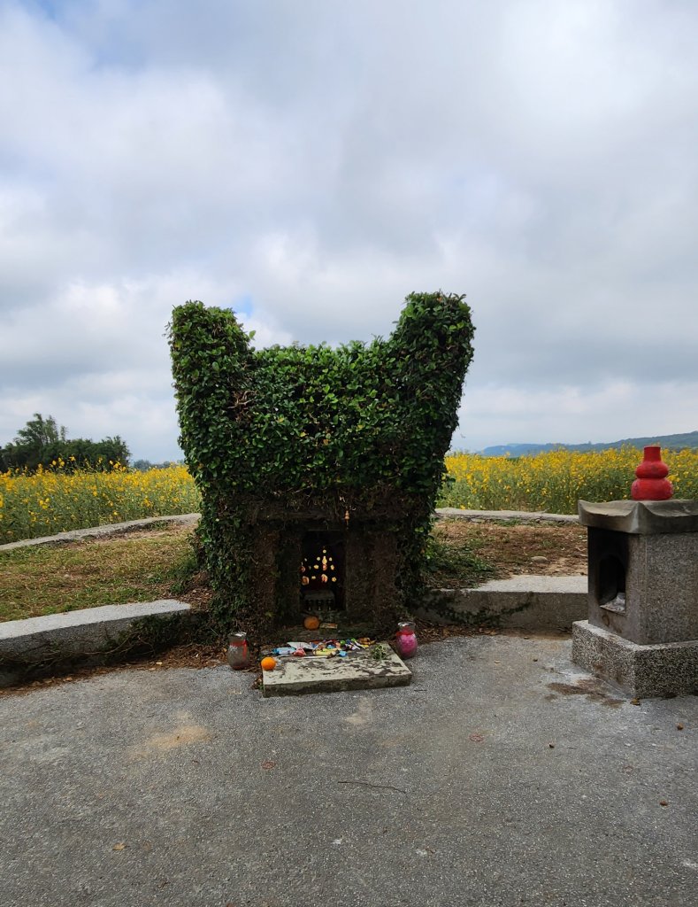 111/11/19杭菊限定：銅鑼-三義大縱走、龍貓土地公、銅鑼窯_1919615