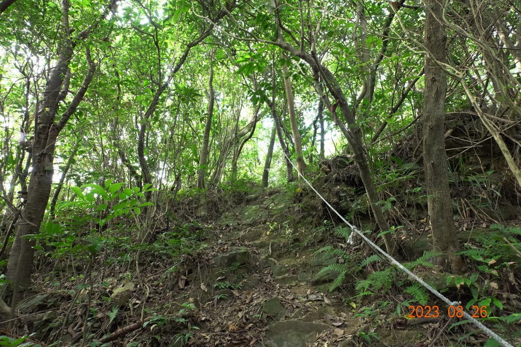 基隆 頂寮山、龍門山、五分山、頂子寮山_2265931
