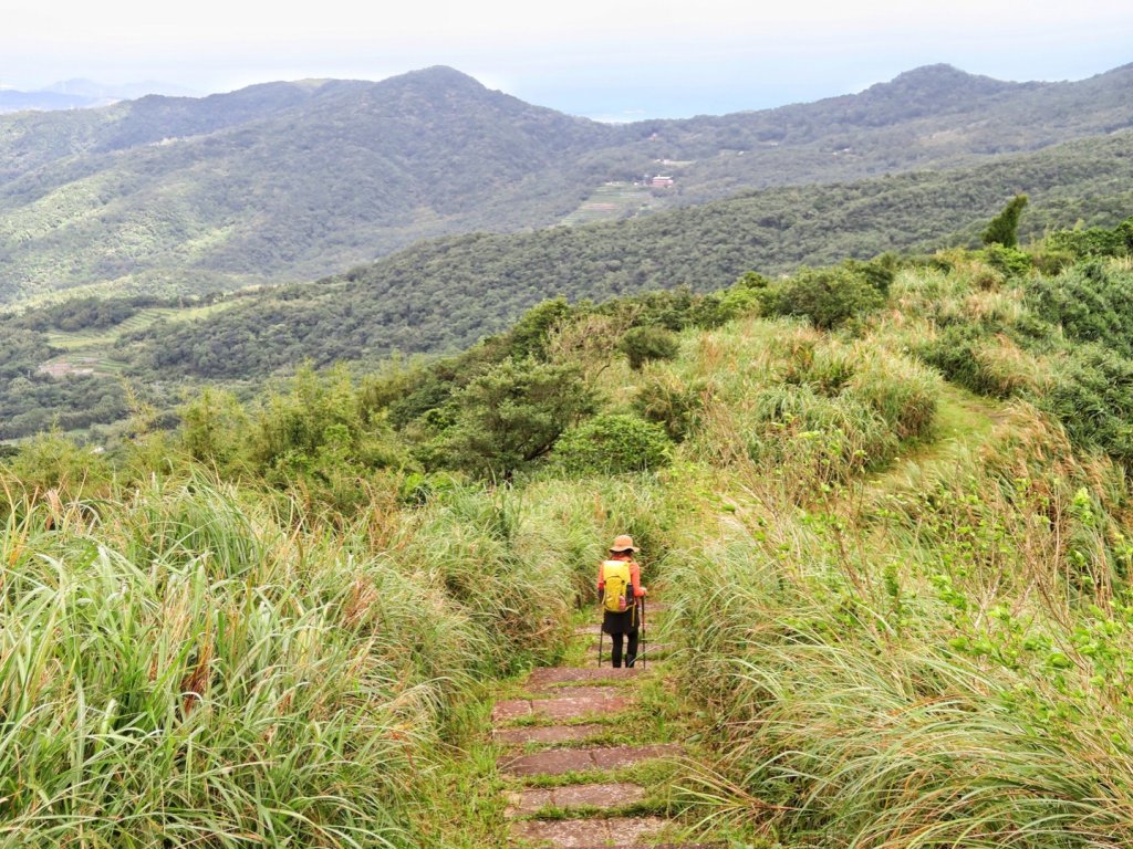 桃源谷步道 大溪上～大里下_1490463
