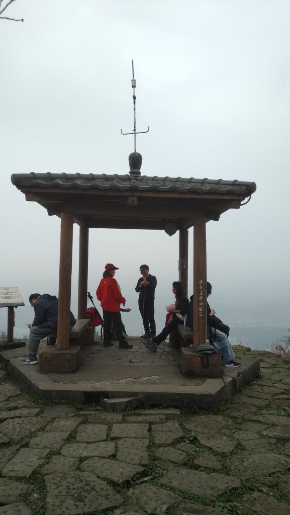 2020.2.28大尖山步道之旅封面圖