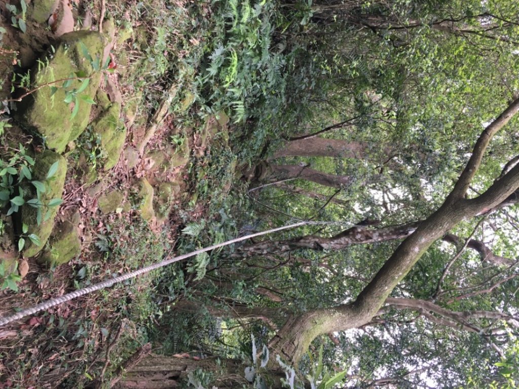 赤柯山、東獅頭山_2748535