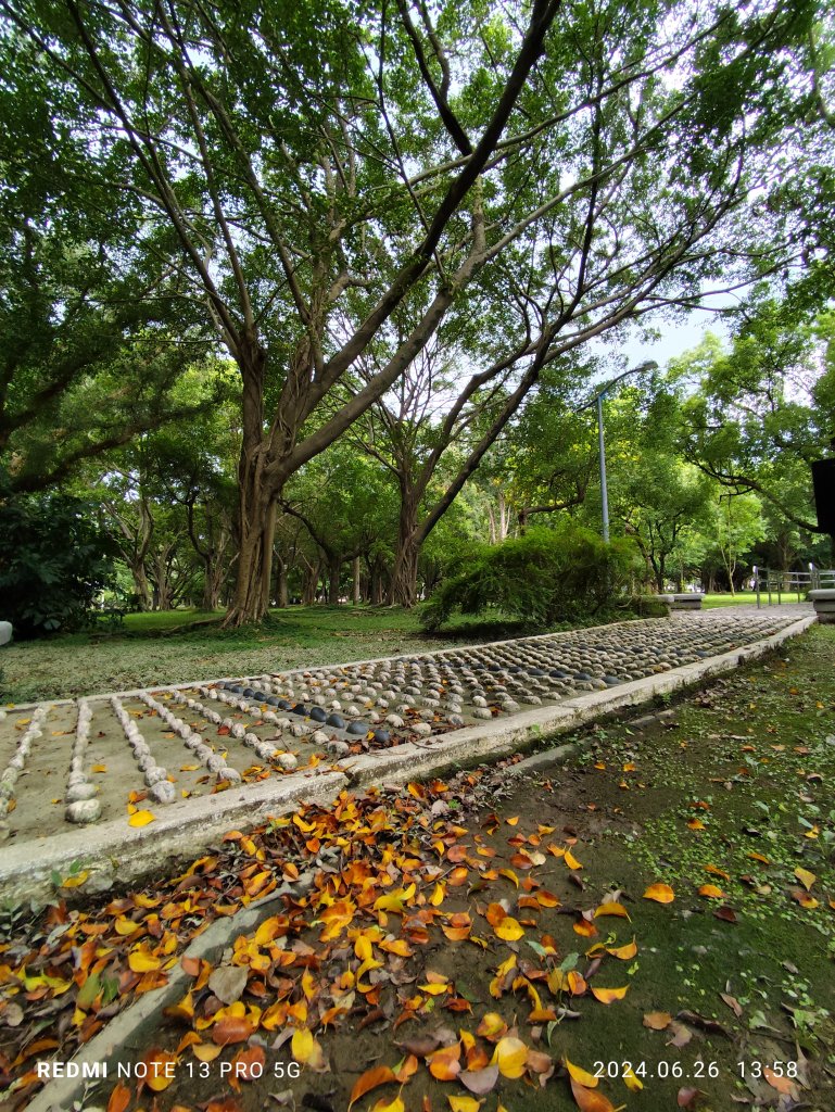 大安森林公園【走路趣尋寶】【臺北健走趣】_2536230