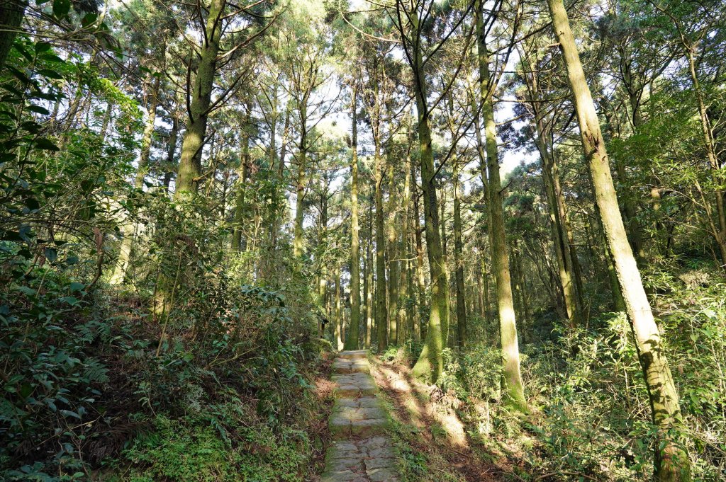 臺北 士林 香對山、頂山、杏林山、北五指山、高頂山、北頂山、馬蕃山、頂山溪山、五指山_2703248