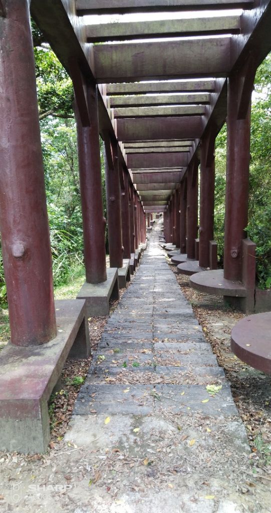 瑞芳小山＋雙溪 逸仙山_363332