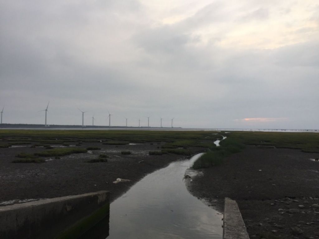 高美溼地_380590