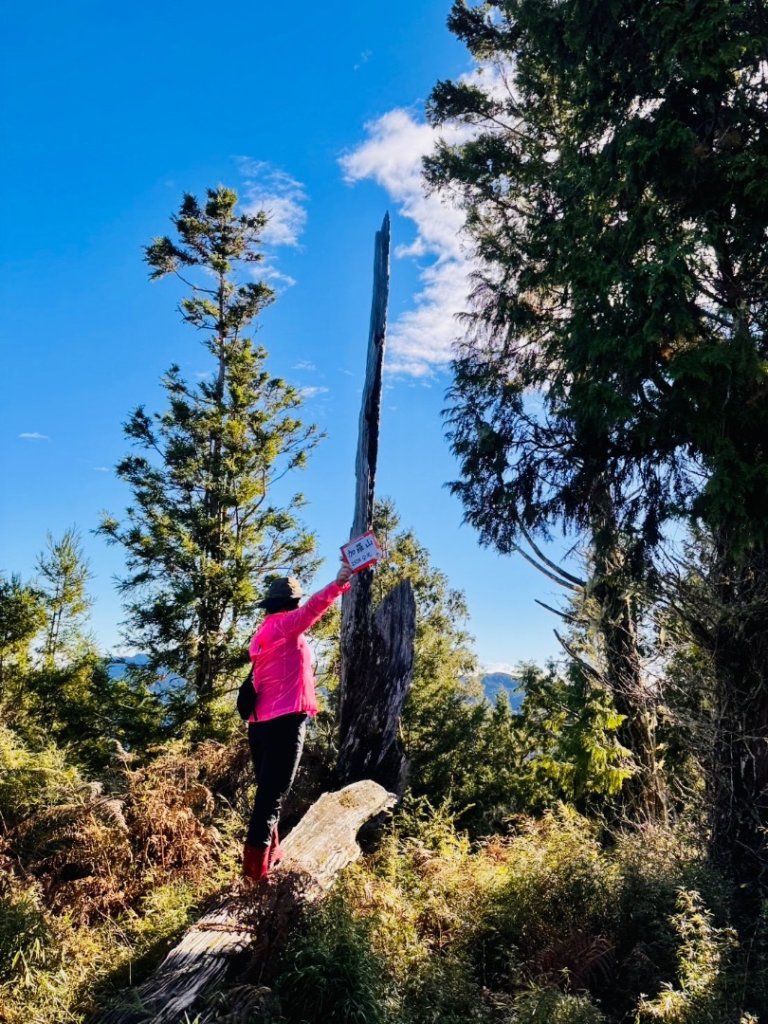 穿羅紗的「加羅湖」_2944070