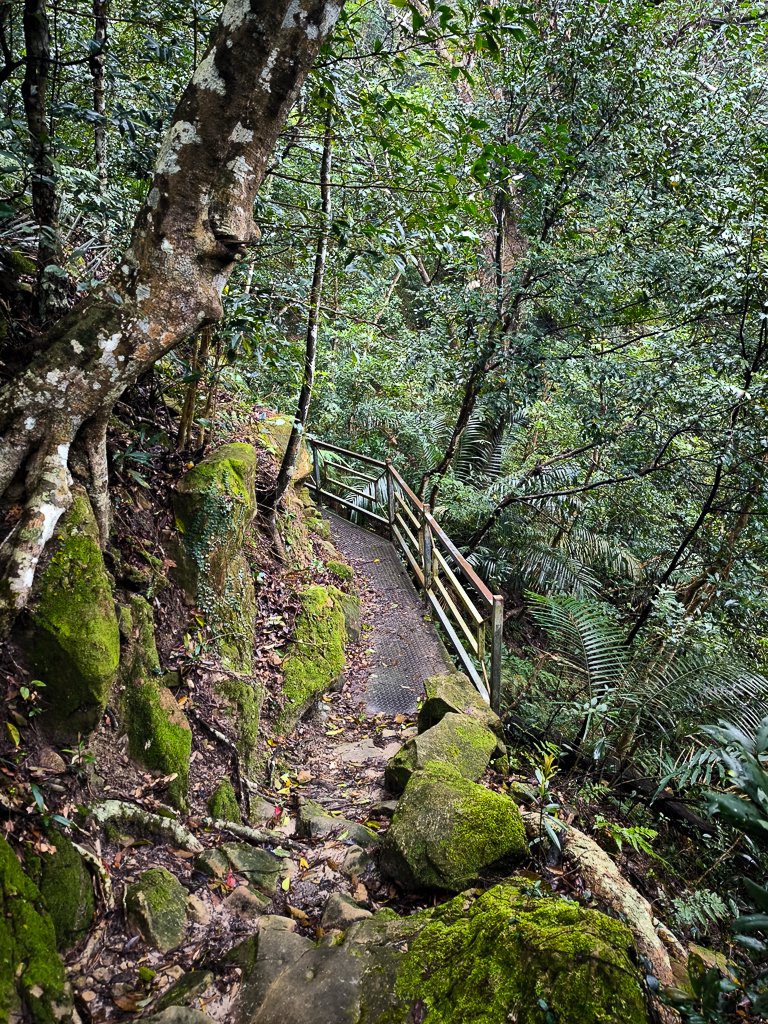 2025-03-08 汶水三山：金童山、汶水山、玉女山 連走_2736497