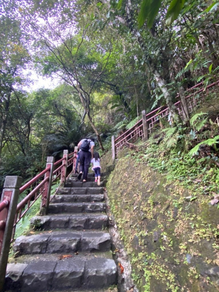 2020228 貓仔們登五峰旗瀑布步道_856816