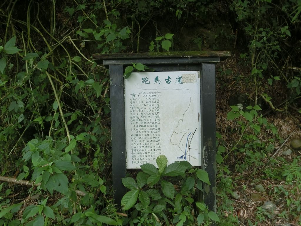 礁溪跑馬古道_175153