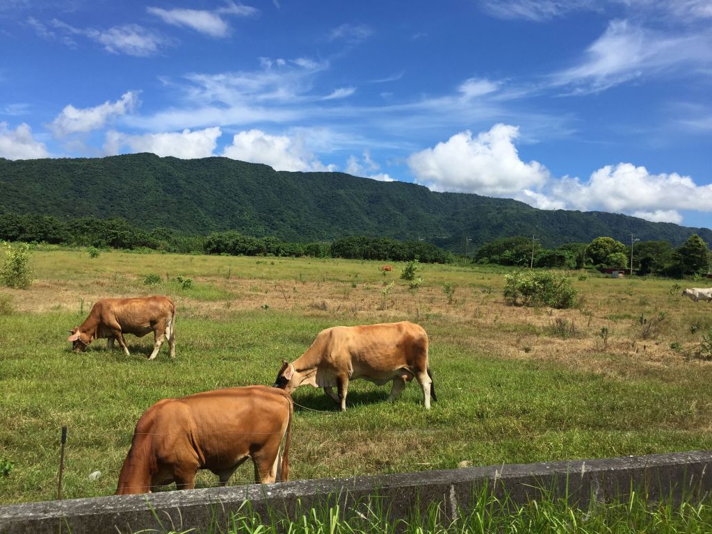 壽豐月眉山步道20170712_143734