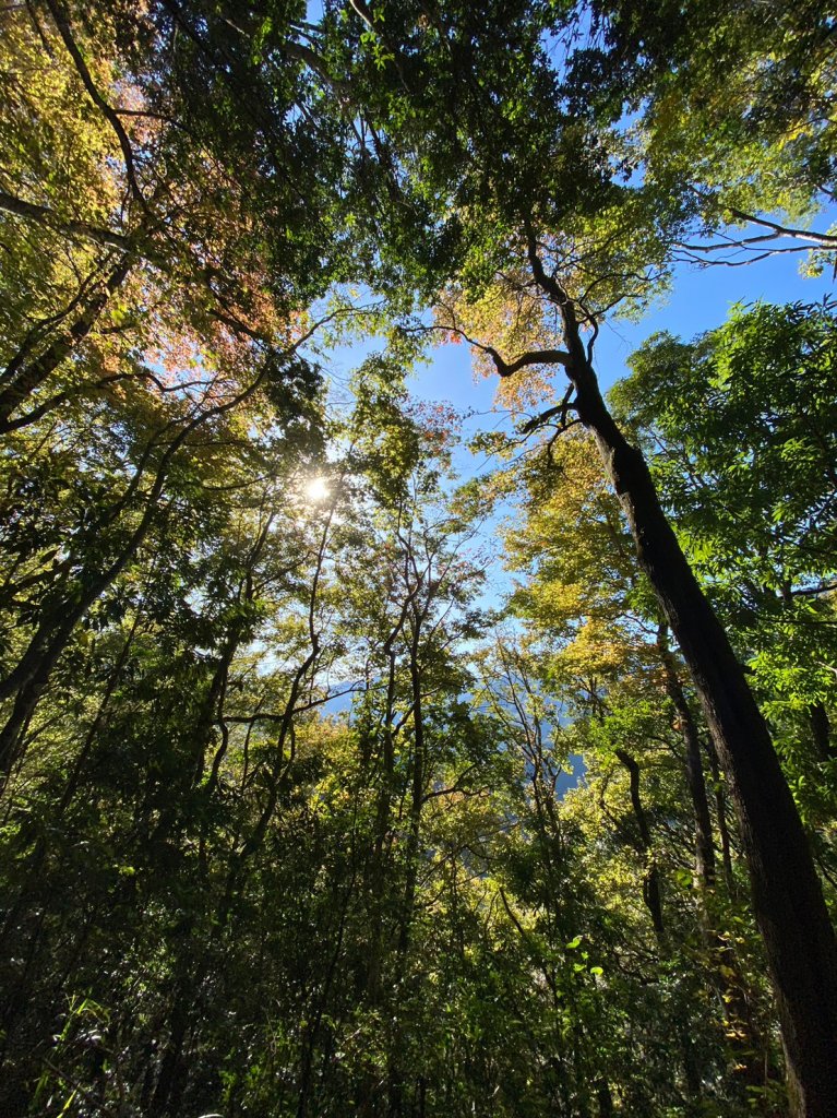 霞喀羅古道_1964591