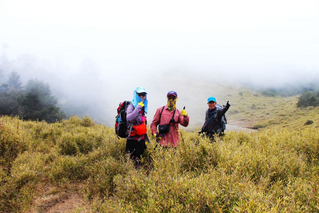 閂山、鈴鳴山 ~ 山巔雲端 , 與美麗山林_307153