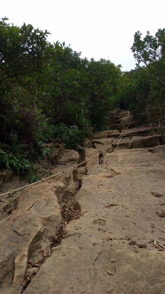 小小冒險王(小錐麓古道-小鬼瀑布)_1842694