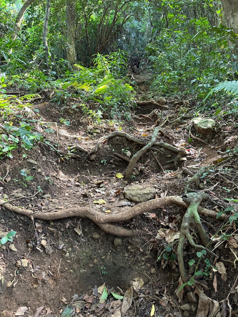 第二天蘭嶼之旅大天池步道和青青草原_2117223