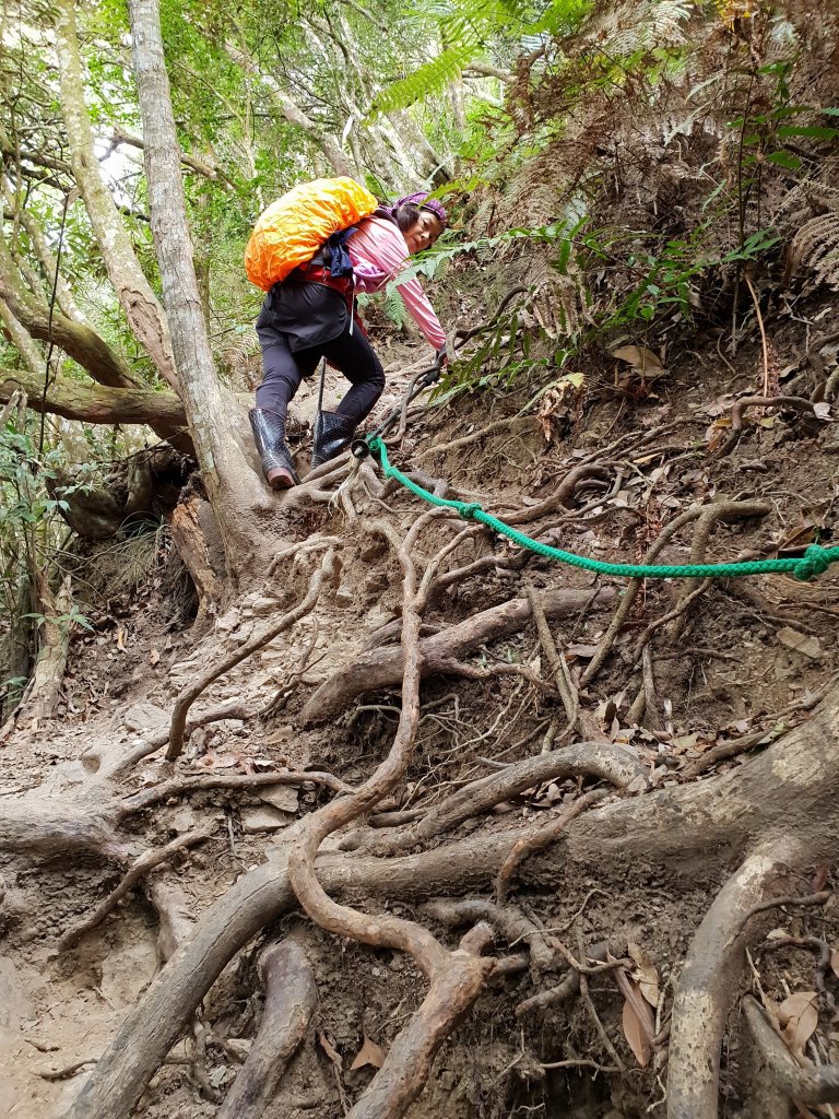 20190106硬陡的第八雄-阿冷山_500818