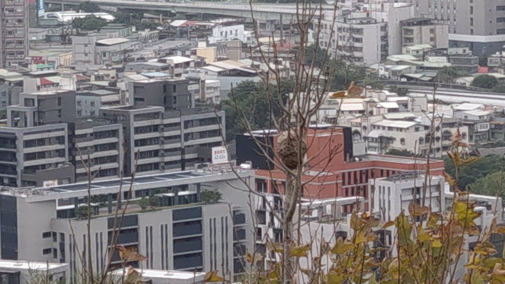 中和禪寺嘉章活佛寶塔丹鳳山軍艦岩_1172365