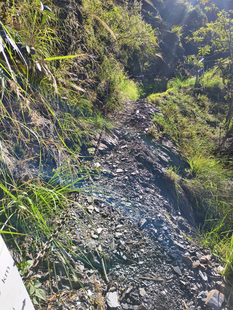 [玉山尋寶任務-07/12] 2025_0824 八通關雲龍瀑布步道_2870659