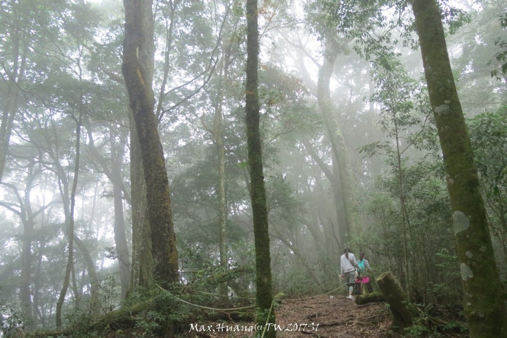 《台中》谷關七雄｜初登屋我尾山20170319_2890457