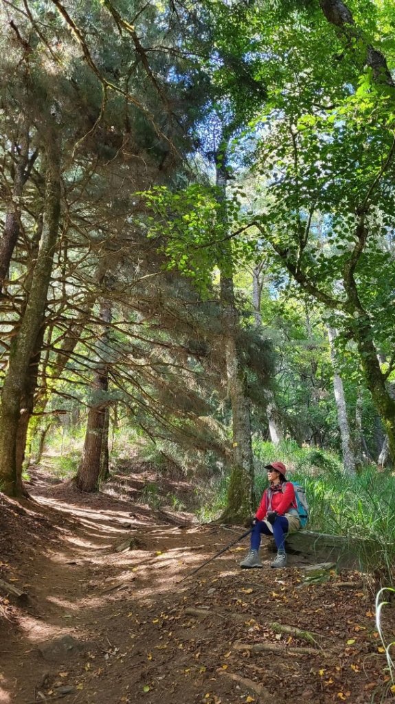 中橫之 屏風山_2611966