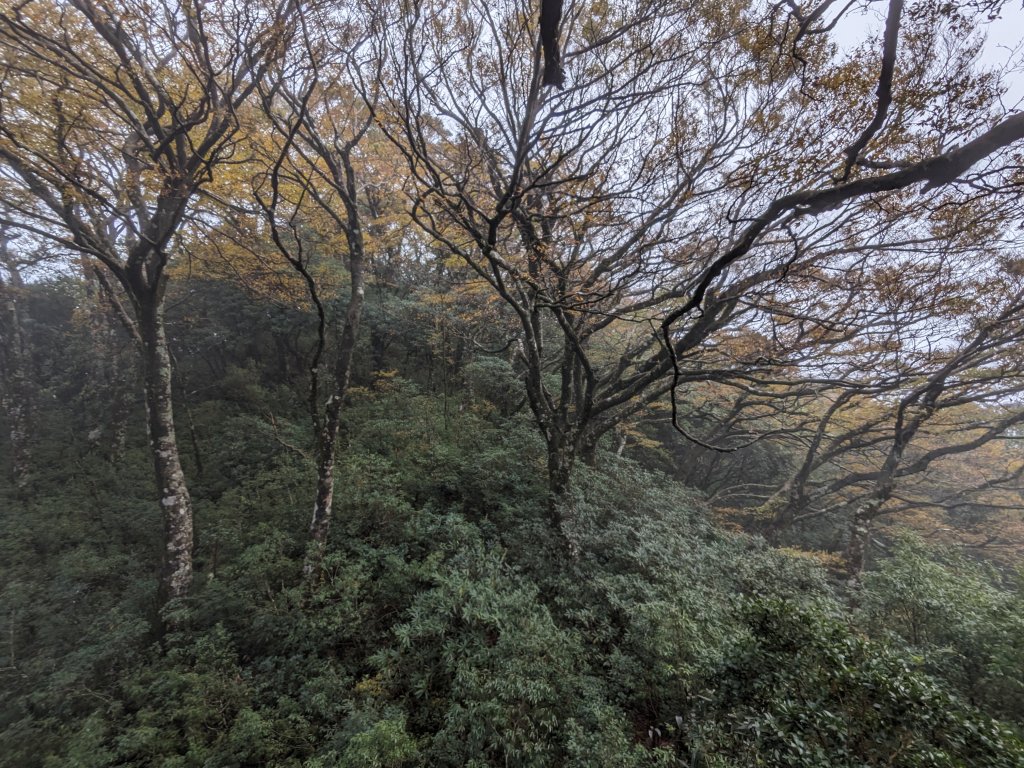 魯培山南插天山_2357481