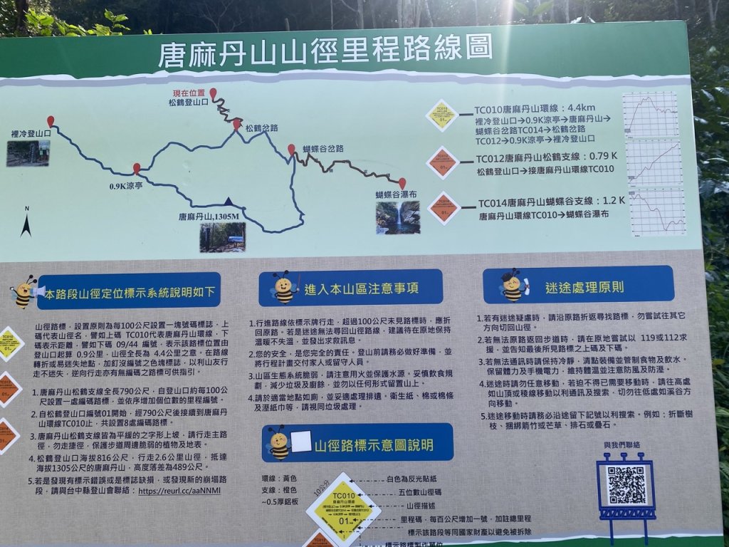 唐麻丹山封面圖