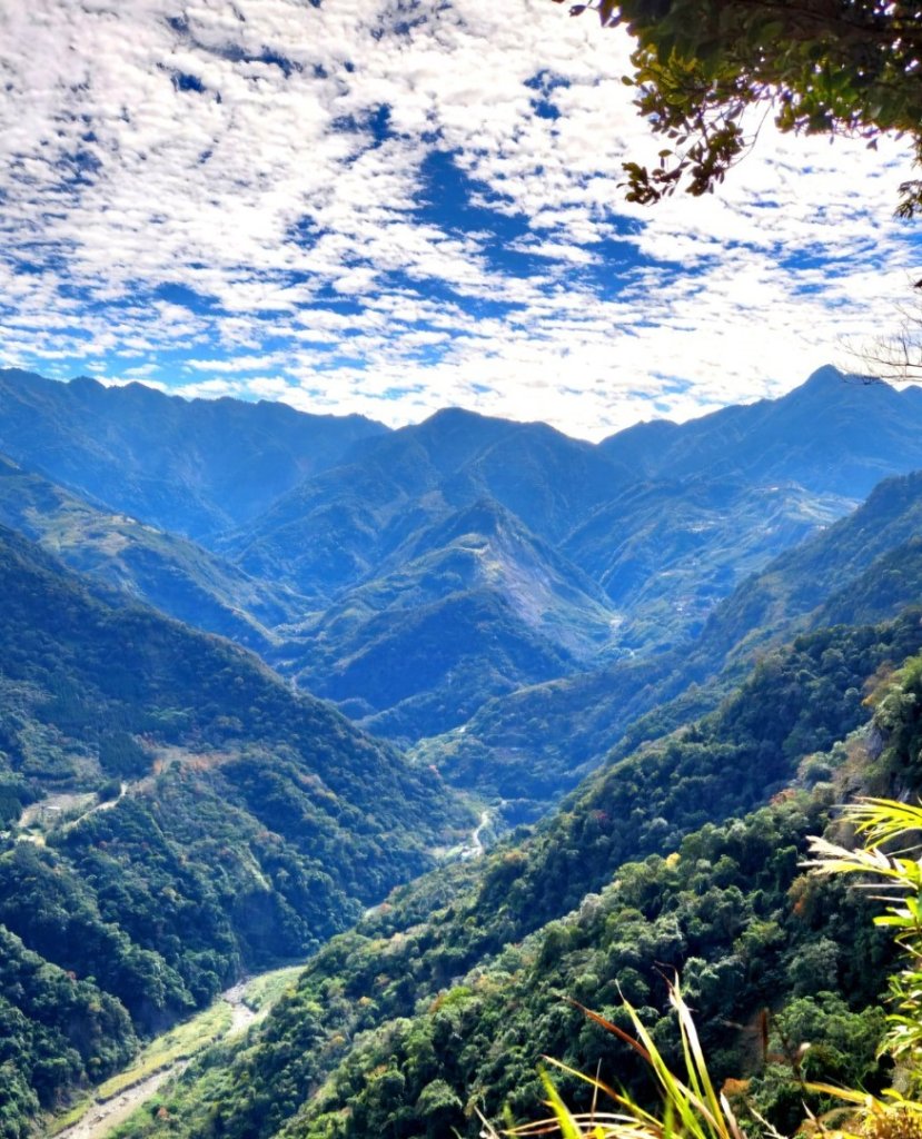 【中級山縱走 】向天湖山，三角湖山，光天高山_2742244