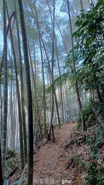 【南投魚池】中部四大名山之山高路遠。 水社大山登山步道_2037936
