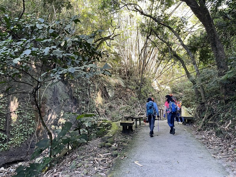 龍過脈森林步道_2662510