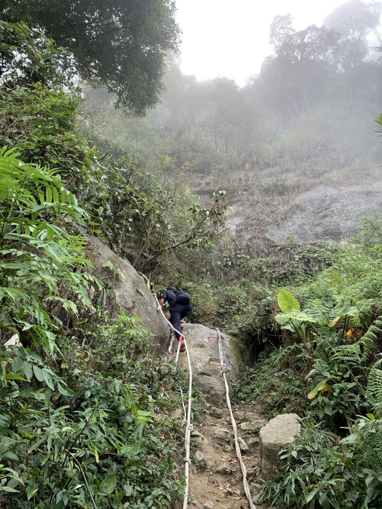 20240330台南雞九凍-雞胸山縱走_2469997