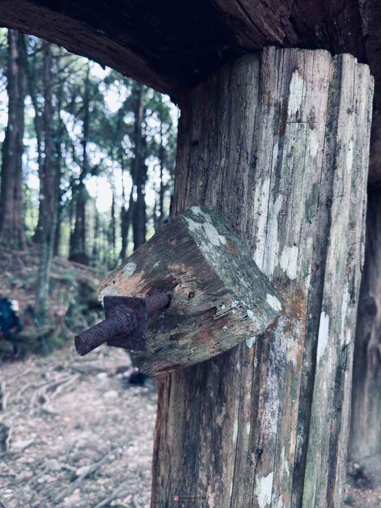 松鶴上八仙_2653180