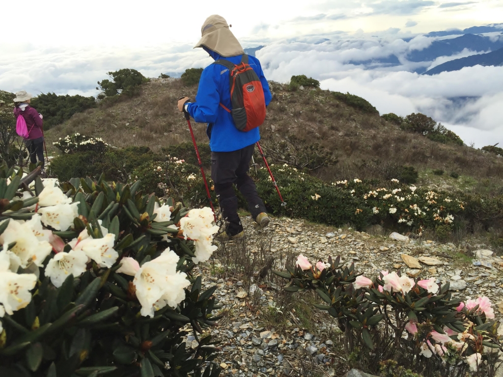 不只是嘉明湖!_50696