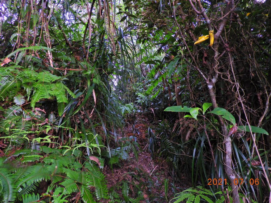 基隆 七堵 仙洞湖山_1422593