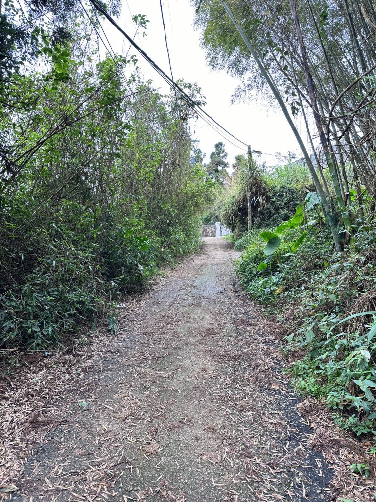 二延平步道接茶霧之道輕鬆走_2498177