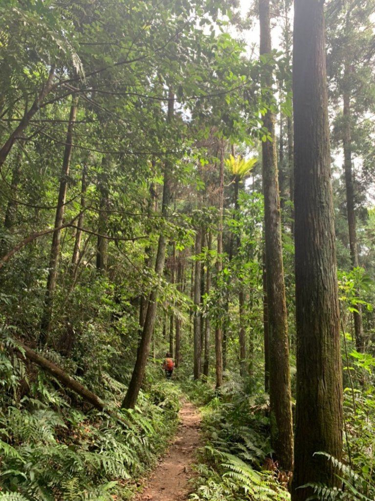 哈盆野營_1025208