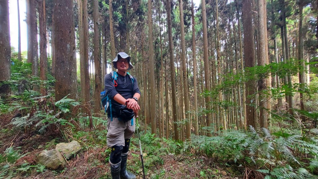 111/03/13新竹五峰天際線：鵝公髻山(第一登山口上、山上人家下)_1649569