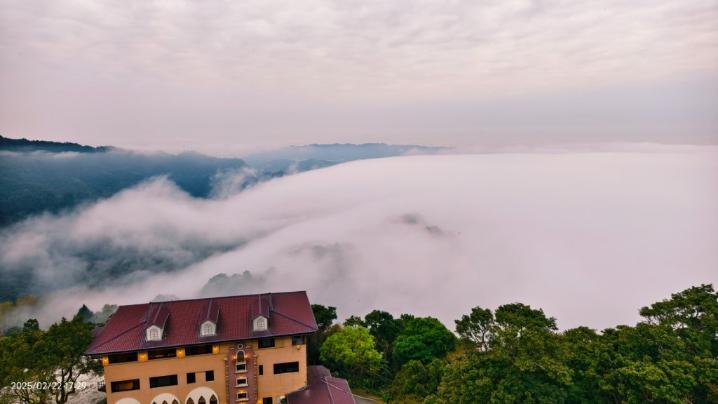苗栗大湖 #薑麻園 #雲洞山莊 #琉璃光 #雲海 #雲瀑 2/22_2718323