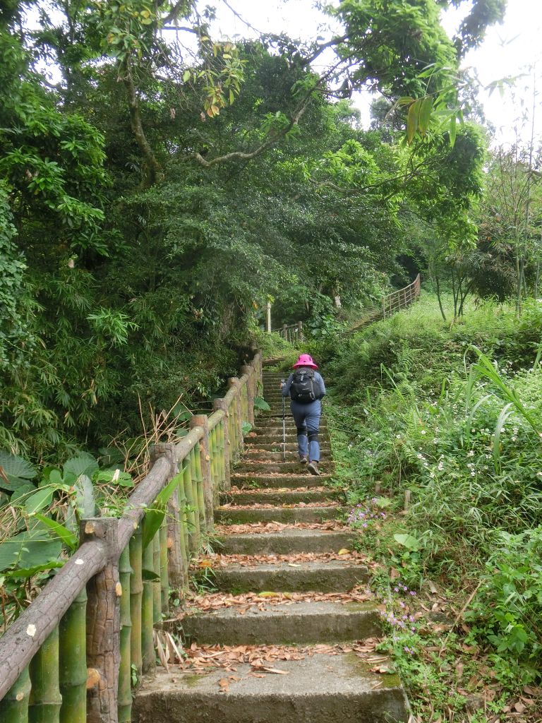 救千宮步道_304334