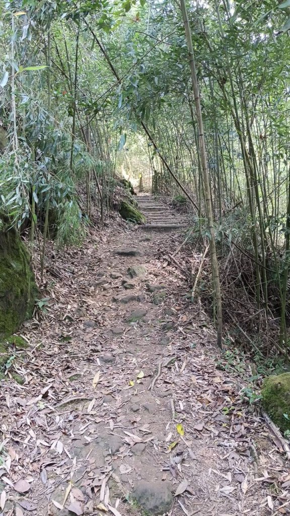 20251004 馬那邦山 - 珠湖 登山口_2904914