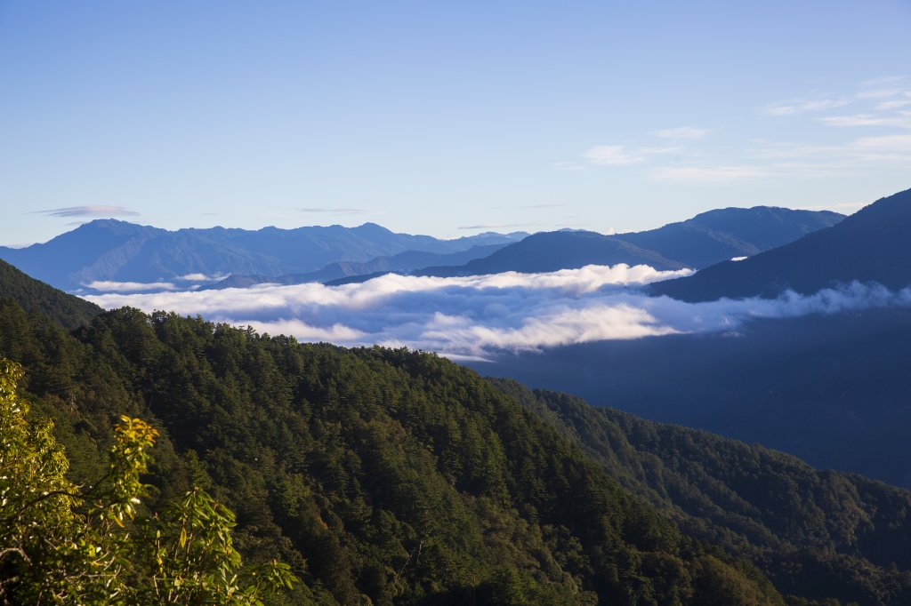 南三段下東埔開高山_466682