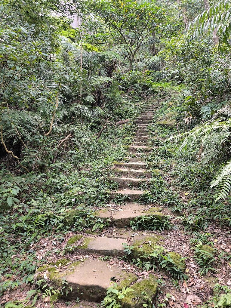 20250830天上山、旺旺嶺、太極嶺_2874087