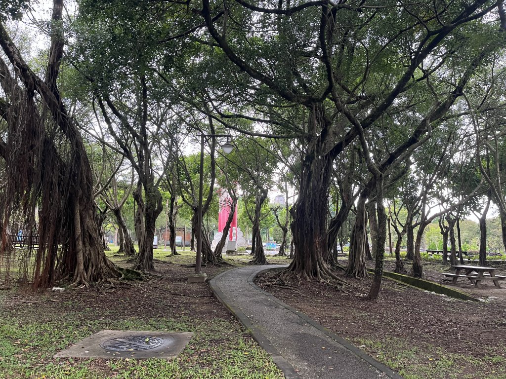 [臺北健康大穀東-24/34] 2023_1021 南港公園_2332552