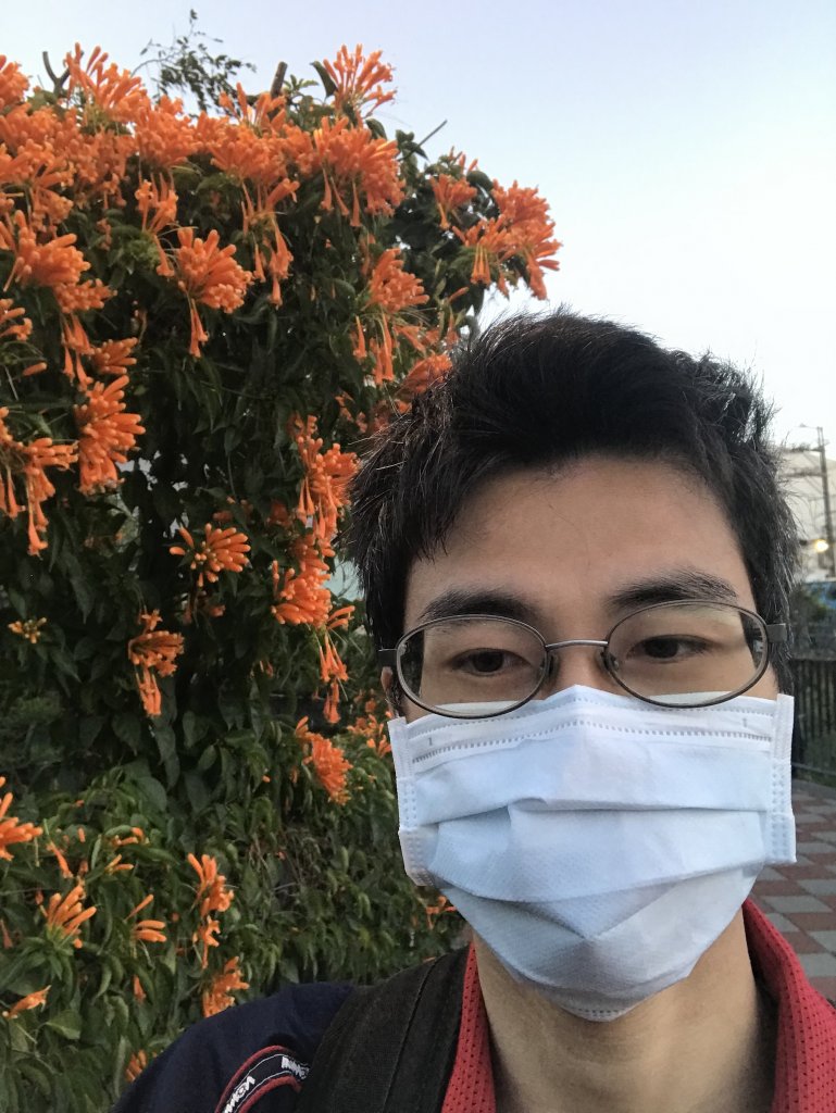 111.03.08 鶯歌永吉公園步道 炮仗花賞花遊_1634858