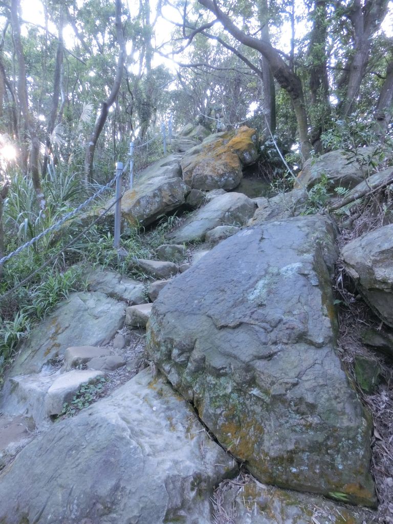 南勢角山．青春嶺_231945