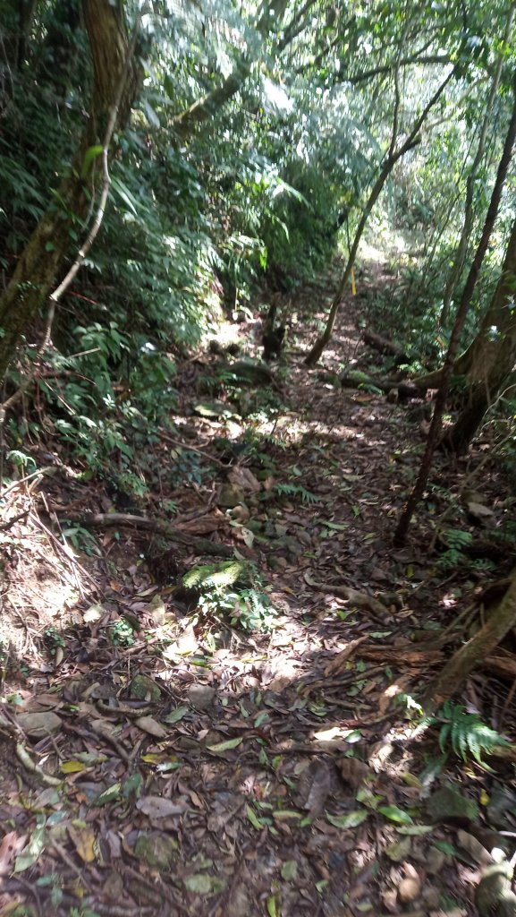 疾速礁溪試跑_880743